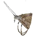 profile expande new.webp
