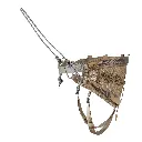 profile collapsed new.webp