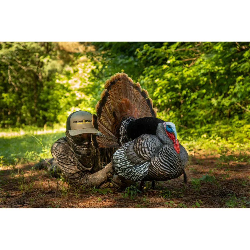 63148_Higdon_Strutter_Field_5_reap_1800x1800_ad267b2e-e96d-43fc-9da8-9b9270199252.webp