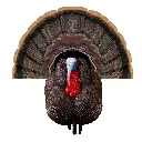 63148_Apex_strutter_synthetic_fan_1800x1800_71b73031-ca51-4ba3-bfeb-3adbcbce40b6.webp