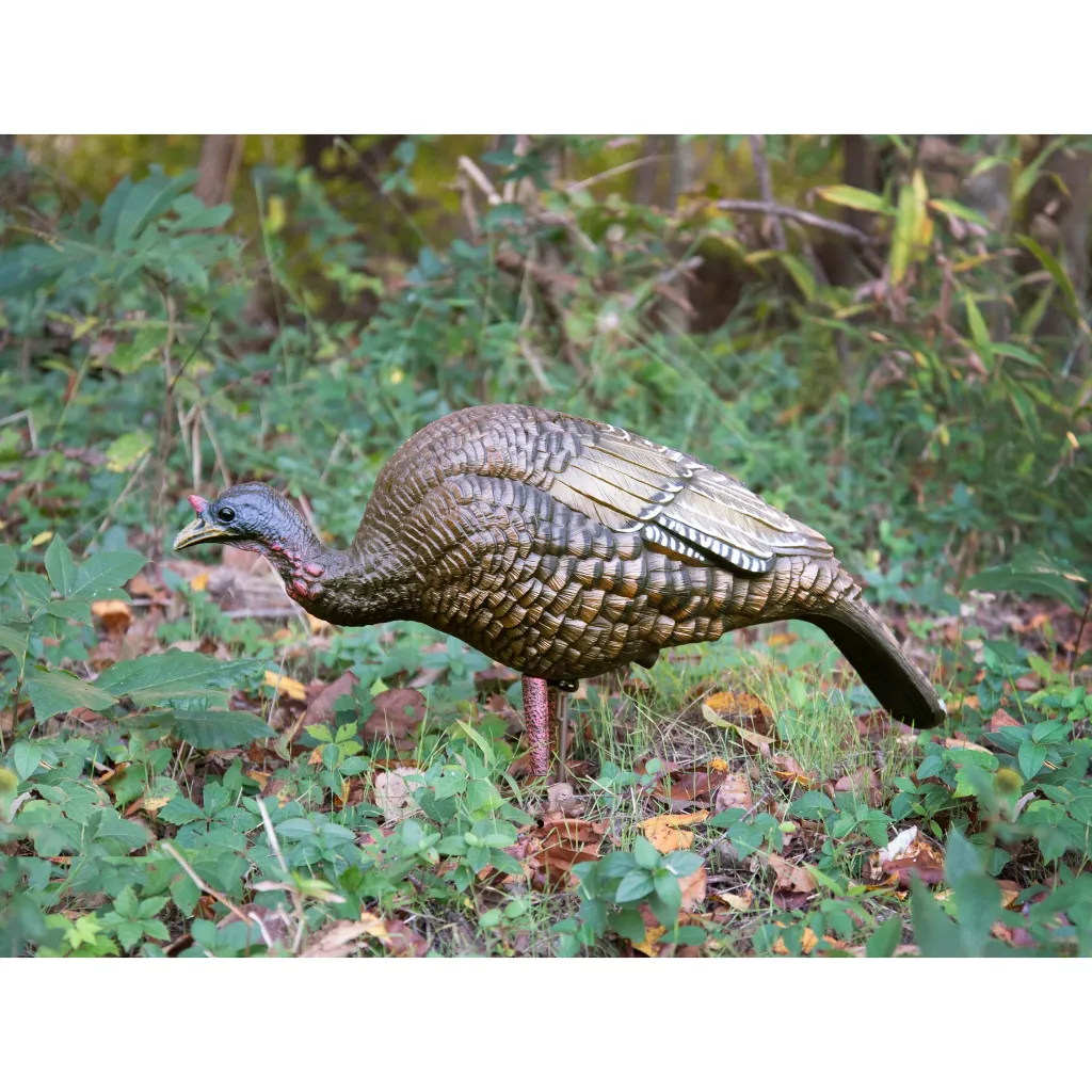 63122_feeder_hen_field2-Conflict_1800x1800_97357811-f7c9-4bed-a56b-2686bfb46a00.webp
