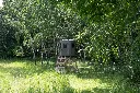 stump_2_web3.webp