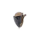 Operator_Pouch_REG_GRAY_3.webp