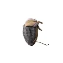 Operator_Pouch_XL_GRAY_3.webp