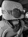 imageD1_720x.webp