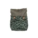 olive-p3.webp