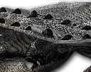 CovertUltra-04_5000x.webp