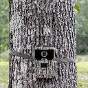 DC-2-Product-600x600.webp