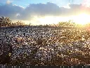 865509053832071_01082025201329-HD-GHRE9661.webp