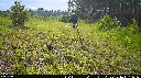 Image-1.webp