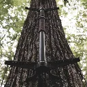 Arsenal_Field-06764.webp
