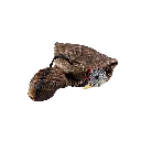 4__30287.webp