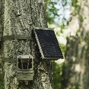 reveal-solar-panel-r5-1.webp
