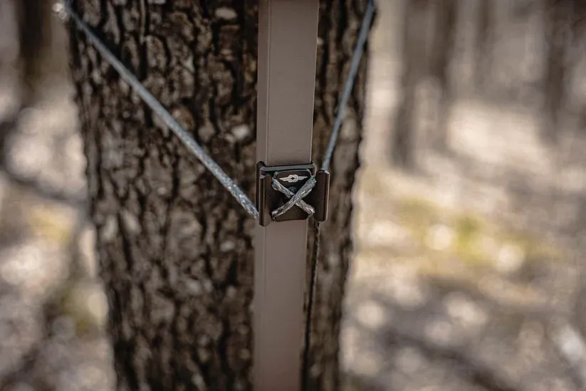 gritworkhorseclimbingstickontree.webp
