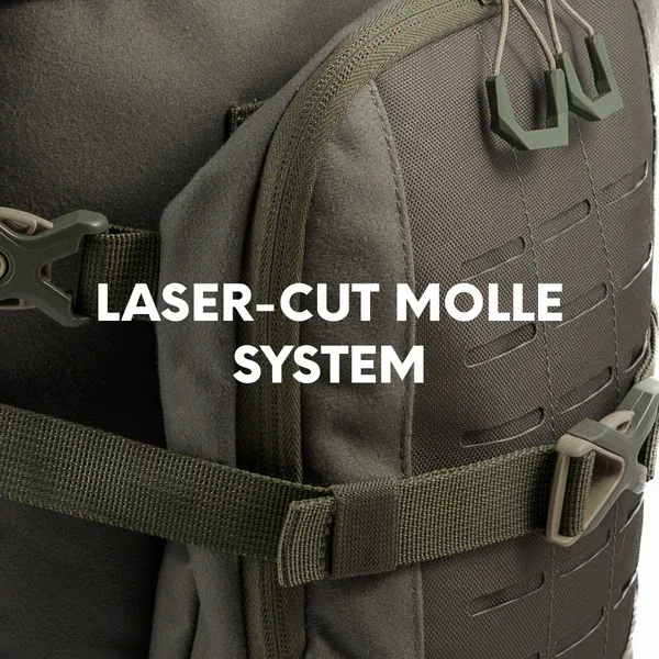 MOLLE.webp