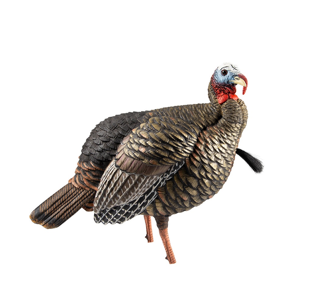Avian X HDR Jake Turkey Decoy w/ 2 Interchangeable Heads