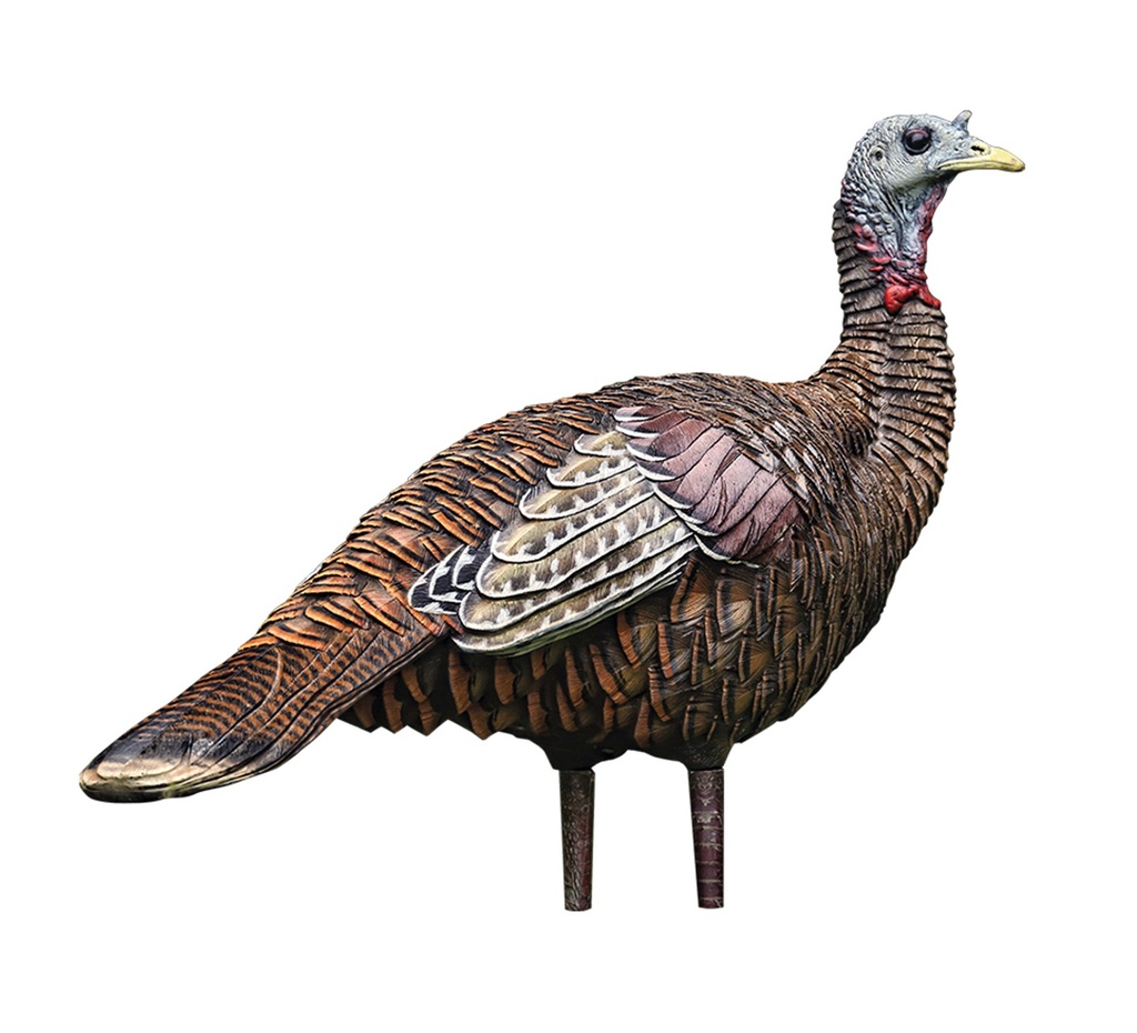 Avian X LCD Lookout Hen Turkey Decoy