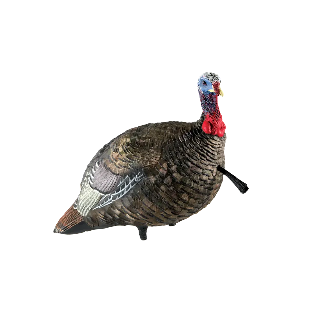 Avian X LCD Quarter Strut Jake Turkey Decoy